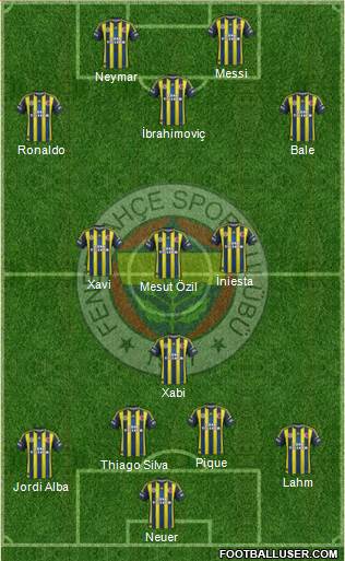 Fenerbahçe SK Formation 2013