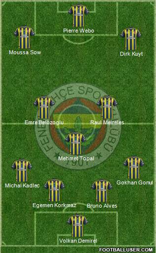 Fenerbahçe SK Formation 2013