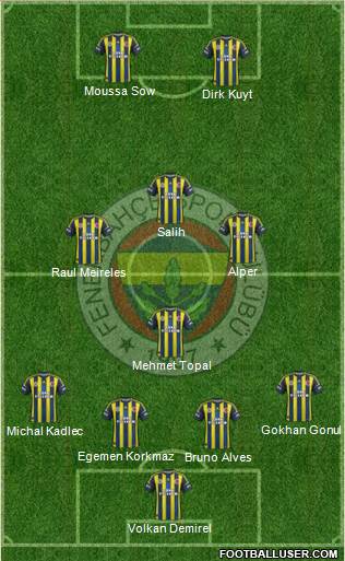 Fenerbahçe SK Formation 2013