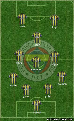 Fenerbahçe SK Formation 2013