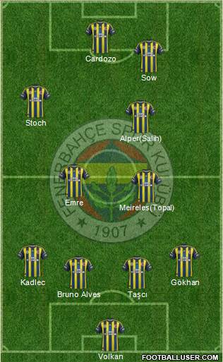 Fenerbahçe SK Formation 2013