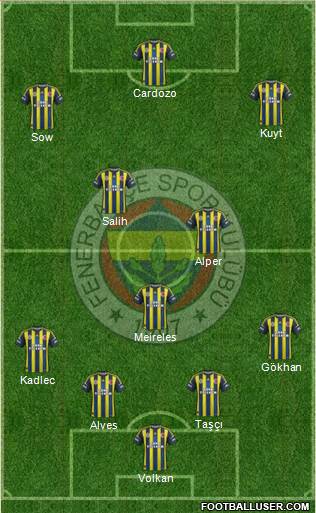 Fenerbahçe SK Formation 2013