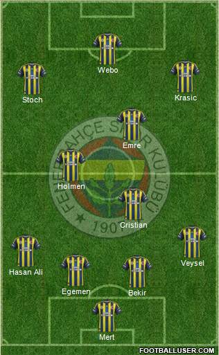 Fenerbahçe SK Formation 2013