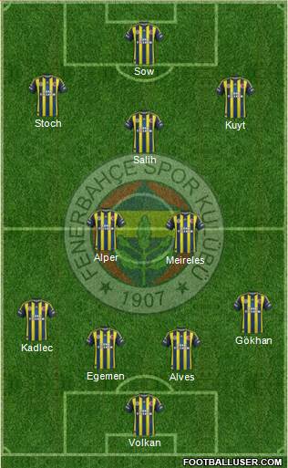 Fenerbahçe SK Formation 2013
