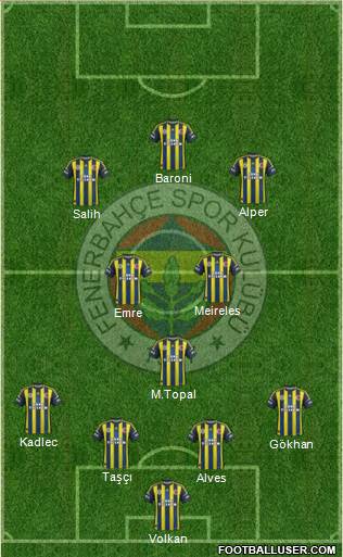 Fenerbahçe SK Formation 2013