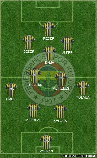 Fenerbahçe SK Formation 2013
