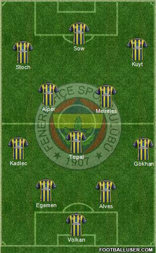 Fenerbahçe SK Formation 2013
