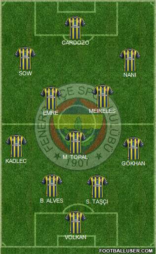 Fenerbahçe SK Formation 2013
