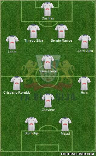 FK Bezanija Novi Beograd Formation 2013