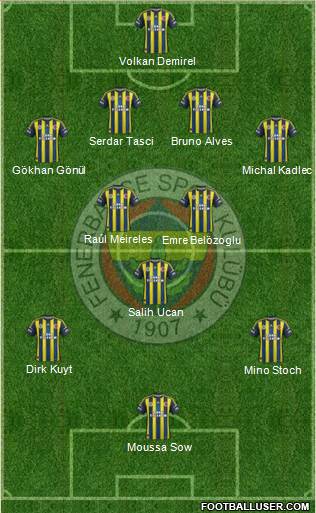 Fenerbahçe SK Formation 2013