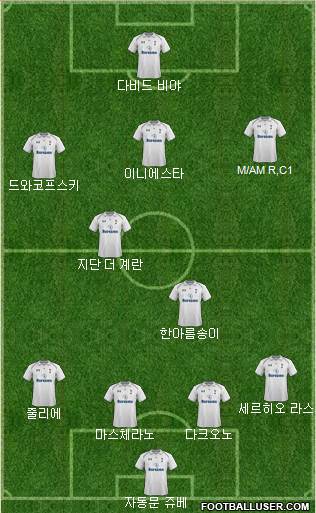 Tottenham Hotspur Formation 2013