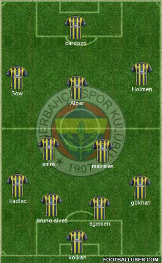 Fenerbahçe SK Formation 2013