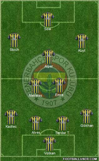 Fenerbahçe SK Formation 2013