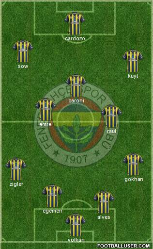 Fenerbahçe SK Formation 2013