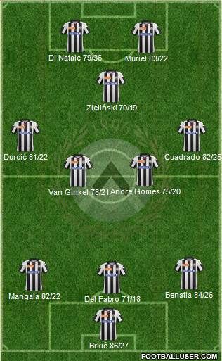 Udinese Formation 2013