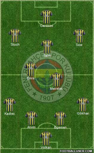 Fenerbahçe SK Formation 2013