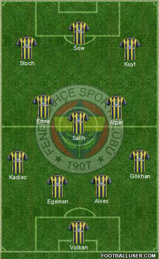 Fenerbahçe SK Formation 2013