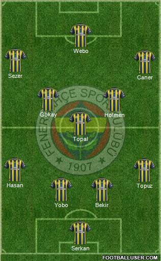 Fenerbahçe SK Formation 2013
