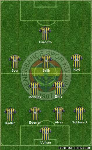 Fenerbahçe SK Formation 2013