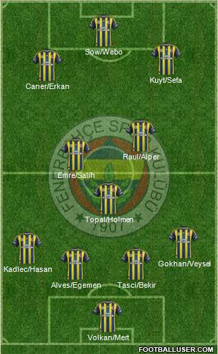Fenerbahçe SK Formation 2013
