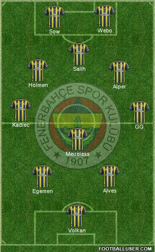 Fenerbahçe SK Formation 2013