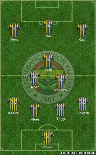 Fenerbahçe SK Formation 2013