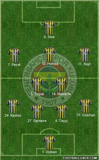 Fenerbahçe SK Formation 2013