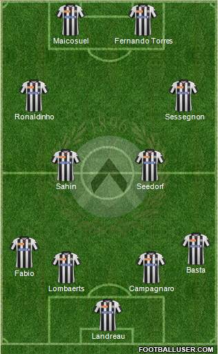 Udinese Formation 2013