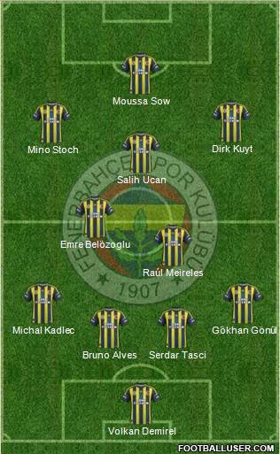 Fenerbahçe SK Formation 2013