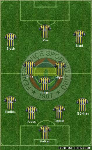 Fenerbahçe SK Formation 2013