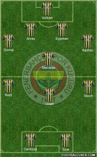 Fenerbahçe SK Formation 2013