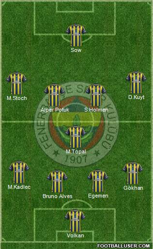 Fenerbahçe SK Formation 2013