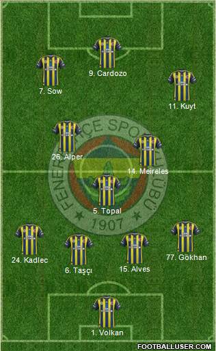 Fenerbahçe SK Formation 2013
