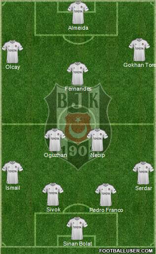 Besiktas JK Formation 2013