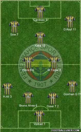 Fenerbahçe SK Formation 2013