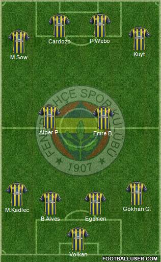 Fenerbahçe SK Formation 2013