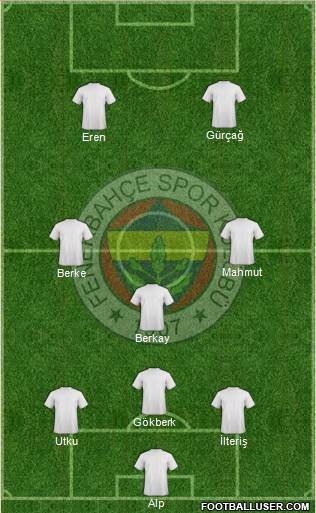 Fenerbahçe SK Formation 2013
