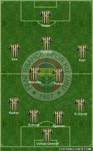 Fenerbahçe SK Formation 2013