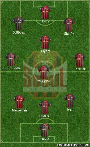 FC Seoul Formation 2013