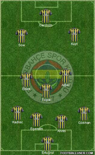 Fenerbahçe SK Formation 2013