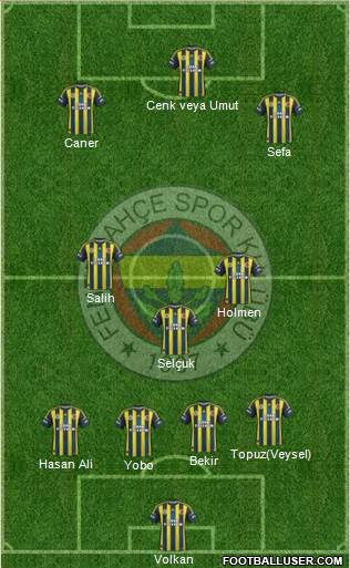 Fenerbahçe SK Formation 2013