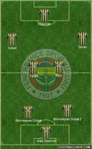 Fenerbahçe SK Formation 2013