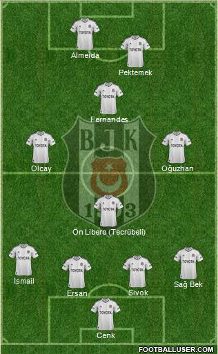 Besiktas JK Formation 2013