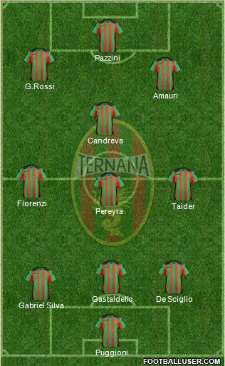 Ternana Formation 2013