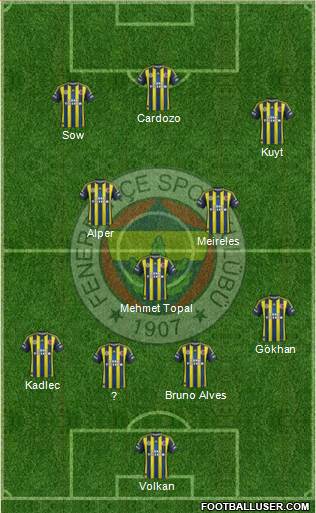 Fenerbahçe SK Formation 2013