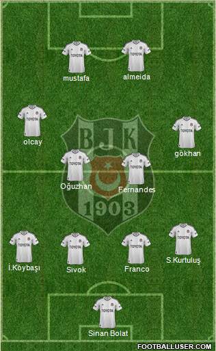 Besiktas JK Formation 2013