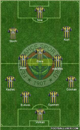 Fenerbahçe SK Formation 2013