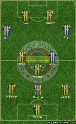 Fenerbahçe SK Formation 2013