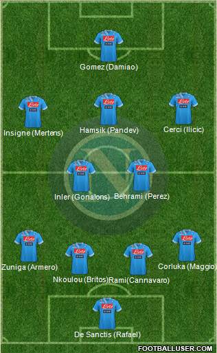 Napoli Formation 2013
