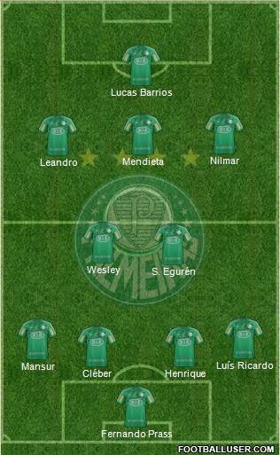 SE Palmeiras Formation 2013